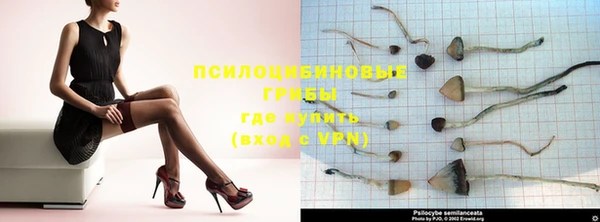mdpv Нефтекумск