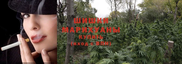 сатива Нея