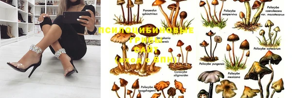 mdpv Нефтекумск